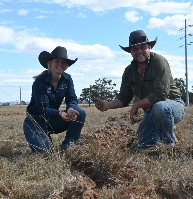 Alana Wade and Kain Rafferty are working towards returning their soils on Wallani, Stubbo, to a healthy state. Picture by Denis Howard
