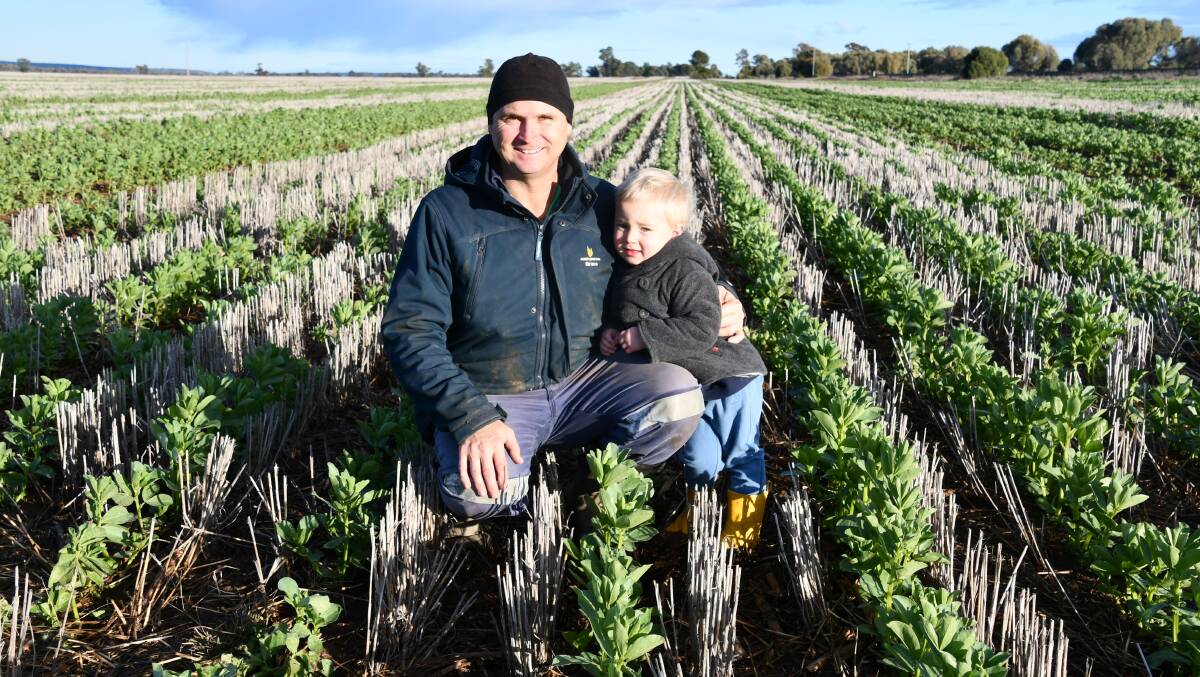 Bruce Watson and his son Angus, 3, Parkes Plains, Nelungaloo, in their 100 hectare crop of faba beans. Picture by Denis Howard