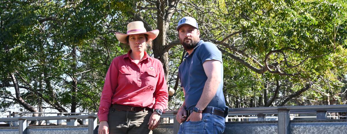 Natalie and Nick Lyons, Mt Bodangora Merino Farm, Wellington (also on our cover), believe the wool levy needs to be raised for Australian wool to still have a voice at the international table. Picture by Denis Howard.