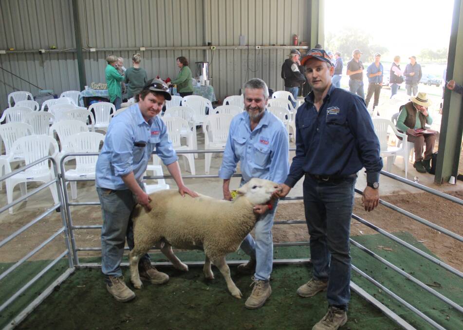 Felix Rams' Isaac and Rodney Watt, and Allan Gray and Co's Rory Brien, with top sale from the stud's 24th annual Lambplan ram sale, Lot 177, which sold for $31,500. Photo Denis Howard 