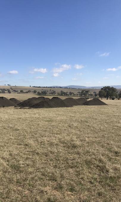SOIL FOOD: Andrew Lenehan, Bathurst, was impressed with the comprehensive blend of nutrients and trace elements provided in a single application of ANL's BlackLime.