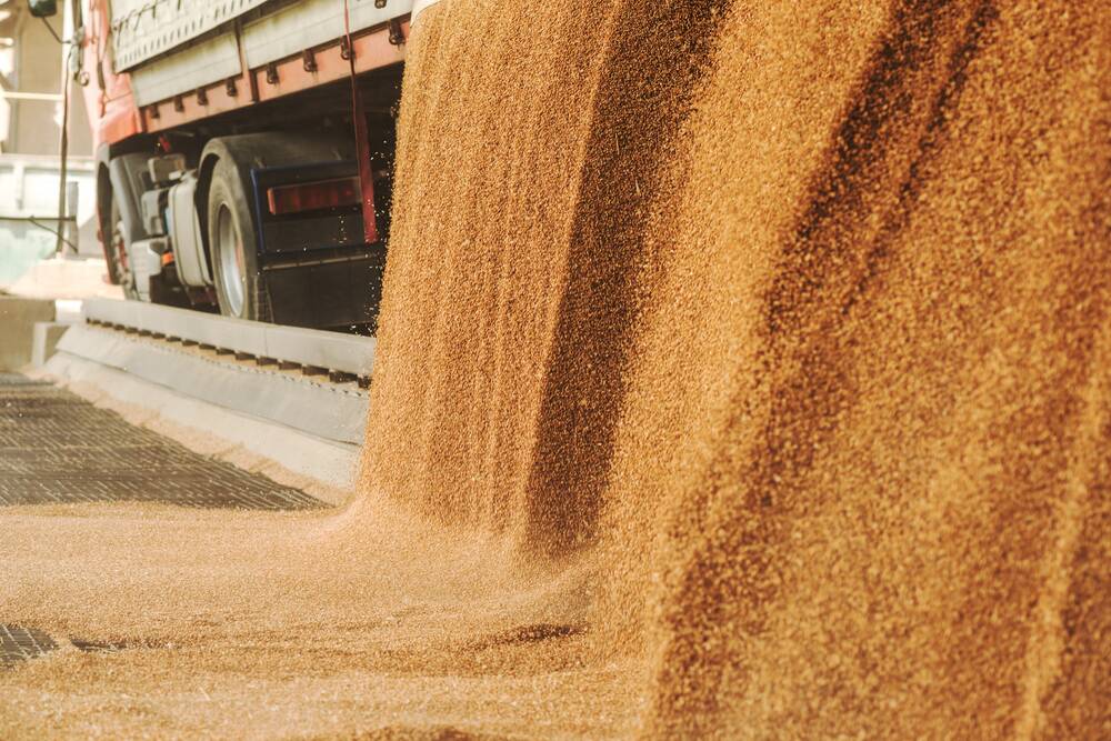 Bio-Gene Technology is searching for a partner to use its Flavocide as an insecticide for stored grain. Picture via Shutterstock