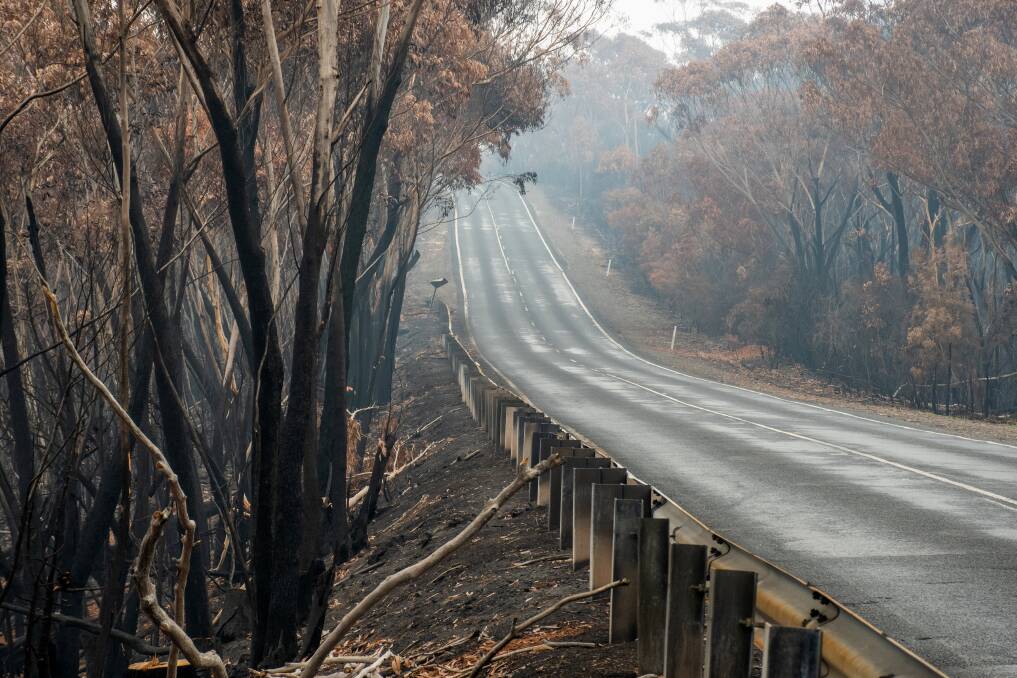 Katrina Humphries believes there are several things that can be done on the fire management front. Picture via Shutterstock