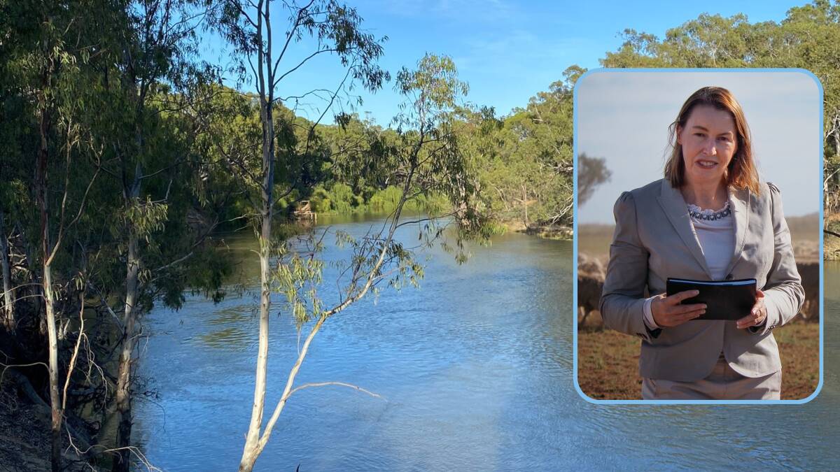 Robbie Sefton, inset, says it is critical to get the management of the Murray-Darling Basin right. Pictures supplied/ by Matt Cawood