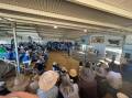 A view of last year's 2023 Texas Angus bull sale near Warialda. File picture by Andy Saunders
