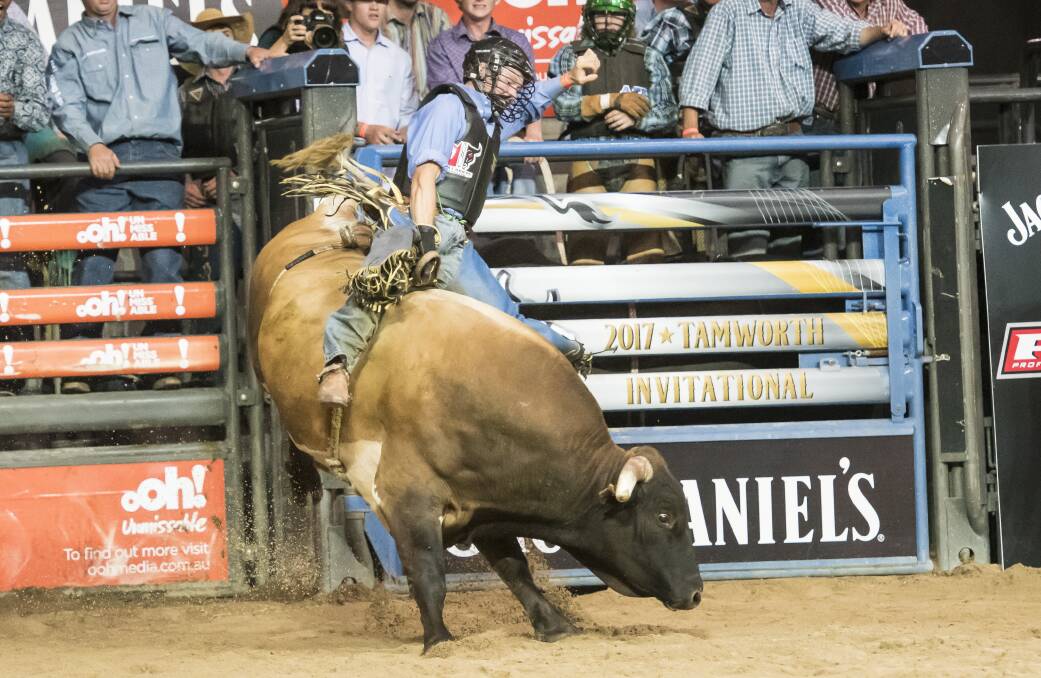 PBR Tamworth draws sell-out crowd as Brazilian snags victory | The Land ...