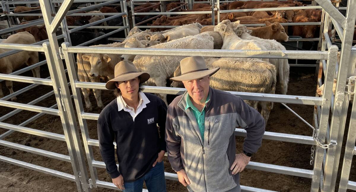 Sam and Ross Patch, Tintenbar, at Lismore saleyards on Wednesday. "Let agents do their work," Ross Patch said.
