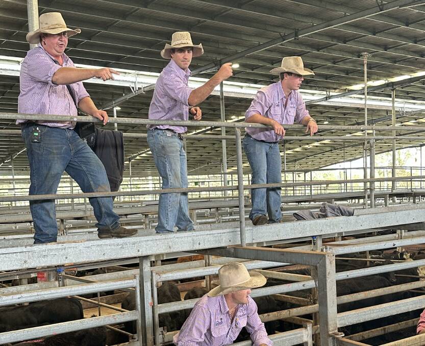 Selling in red, the new-look livestock team from Casino and Kyogle, now part of Australian Property and Livestock Group, Andrew Summerville, Nick Fuller, Isaac Young and Josh Sawtell handling bids at Casino on Friday. Photo by Bruce Birch.