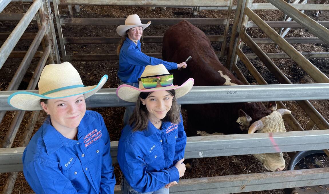 Emerging breeders in the stud industry and grand daughters of Hereford breeder Roger Kneipp, Dundee Park, offered their own station-bred bull Dundee Baxter, 720kg, that sold at Casino on Friday. Pictured are Brooke, Lillian and Alista.
