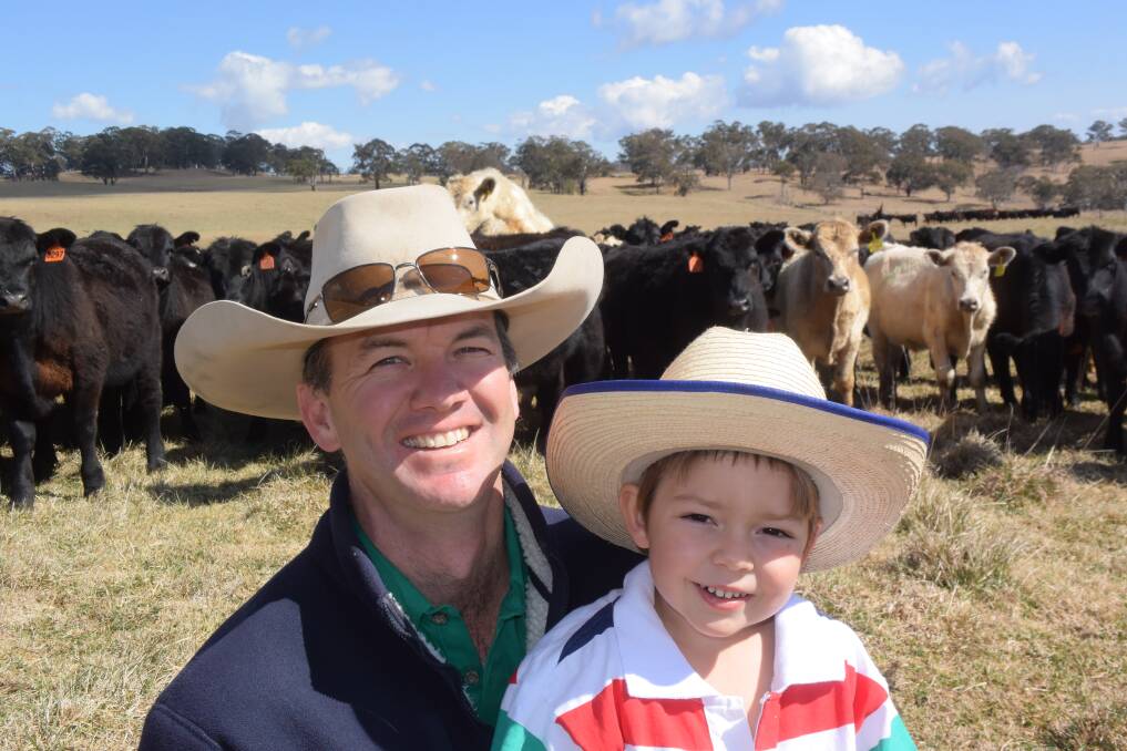 Wilmot manager Stuart Austin and his son Harry with bred steers and trade cattle doing well on a rotational grazing system just before recent fires changed the game plan.