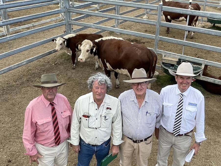 Top selling Franco Herefords female Daffodil R132 with heifer calf at foot brought $18,000, knocked down to Jim Gibb, Cootamundra pictured with Elders studstock agent Brian Kennedy, Franco stud principal Frank Hannigan and auctioneer Paul Dooley.