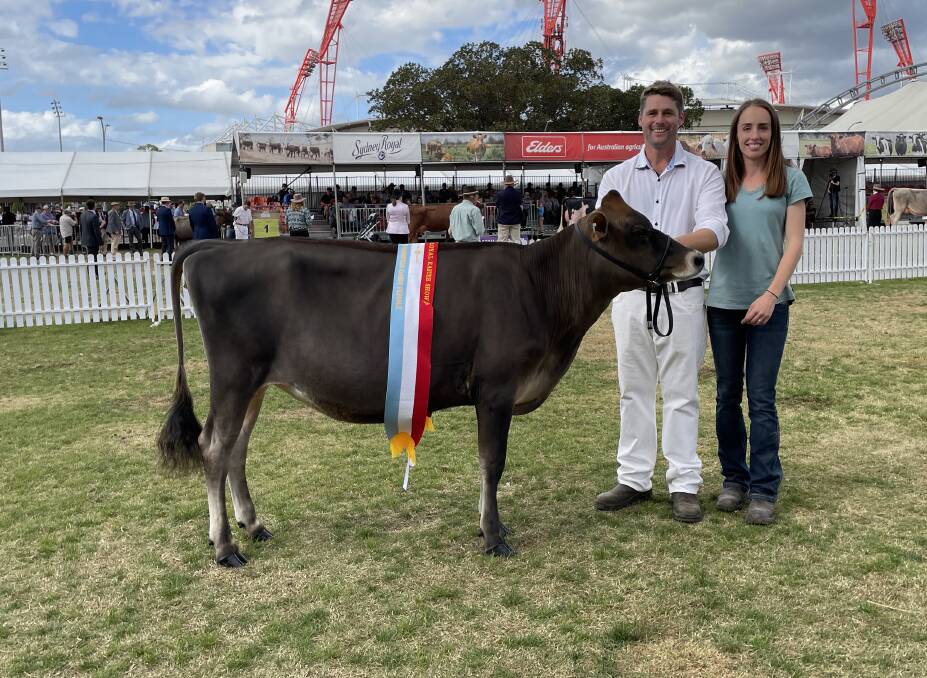 Interbreed junior dairy champion Cedar Vale Oliver Countess with breeder Shane Oslear and his fiance Jade Whatman, both from Albion Park.