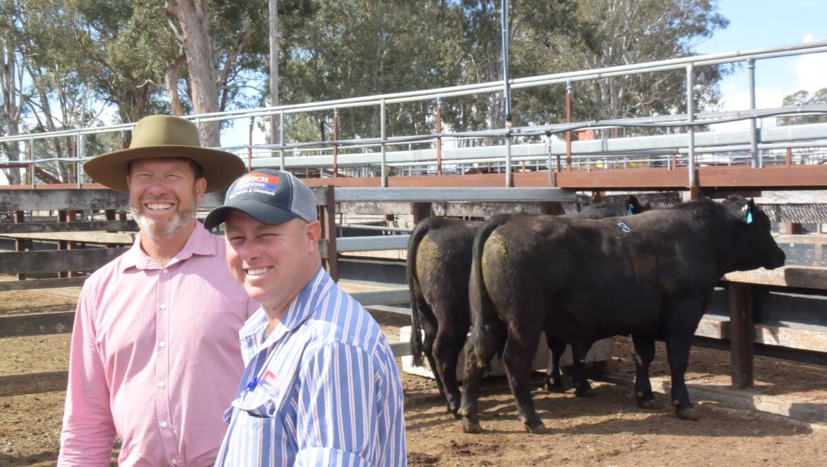 Top Of 5000 For Skibo Angus At Gloucester The Land Nsw