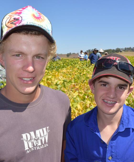FUTURE FARMERS: Hayden Somerville and Josh Fleming check out ripening soybeans at Wayne Petty's property, Urbenville.