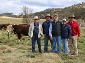 Amos Vale Kenworth T003 with buyer Phil Duddy, auctioneer Shad Bailey from Colin Say and Co, stud principals Mark and Wendy Campion with Elders Stud Stock agent Brian Kennedy. Photo supplied.