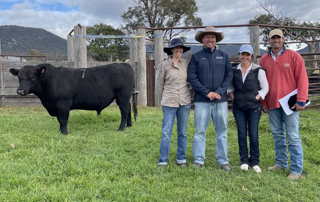 Speriby North Angus bull AJC T1115 topped the Bolivia stud's annual bull sale at $28,000 with stud family representative Simone Cox, auctioneer Shad Bailey Colin Say and Co Glen Innes with buyers Natasha and John Templeton, Tirranna at Mt Mitchell via Glencoe who sell first cross Angus/Wagyu to Rangers Valley feedlot.