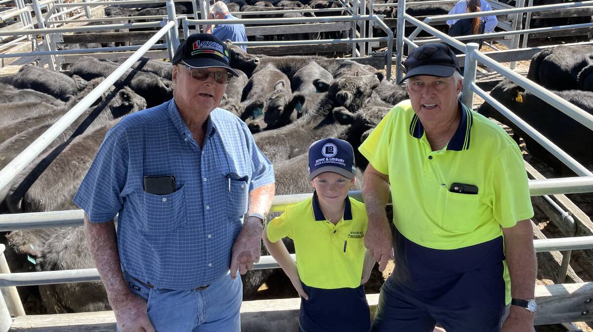 Allan Flannery with Bentley Allen-Atkins and Ken Allen, Clarencetown, admiring Angus steers from Karin Hynes, Nelsons Plain, that made $1390.