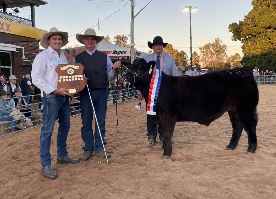 Champion led steer at Casino Beef Week, a Limousin bred by Josh Sawtell, Lindesay View at Findon Creek, and fed by Murray Nicholls, Tookawhile at Roseberry Creek, with judge Tyson Will, Delungra.