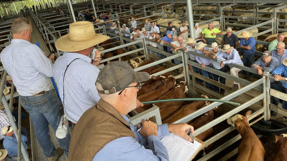 At Casino's Northern Rivers Livestock Exchange existing livestock agents will be required to re-submit tenders after June. While vendor fees remain the same, agents will be charged a new higher rate.