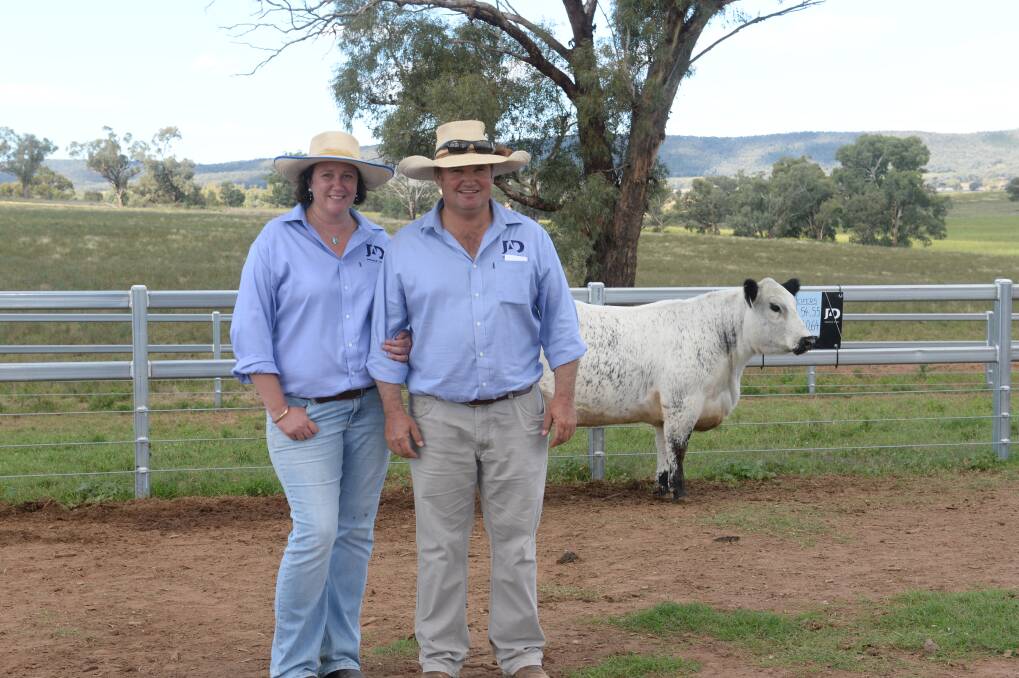 Amy and Justin Dickens in 2021 with their $40,000 Australasian record priced heifer JAD L260 Unique Q33. Picture supplied 