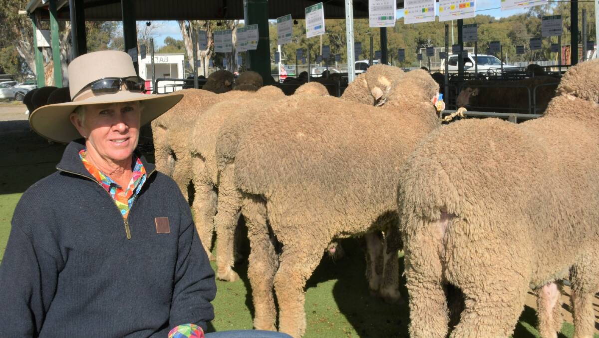 Paula Dean, Notus Downs, Longreach, Qld, with a selection of the 17 rams she bought at auction.