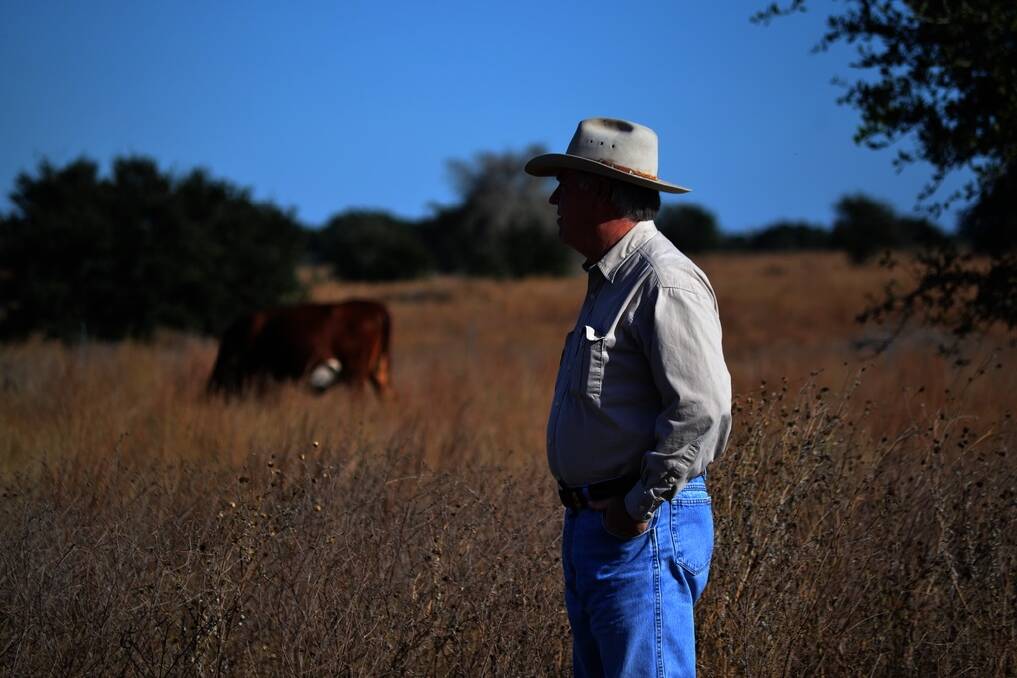 Texas cattleman Bob McCan is seeing in the Australian beef industry the same issues which have recently played out in the US.