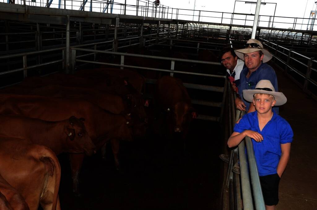 Stuart Muller, “Nunya”, Forbes, with buyers Karl Tulloch and son, Charlie, 10, “Argyle”, Wyalong, and the cow units that sold for $950 at Forbes on Friday.