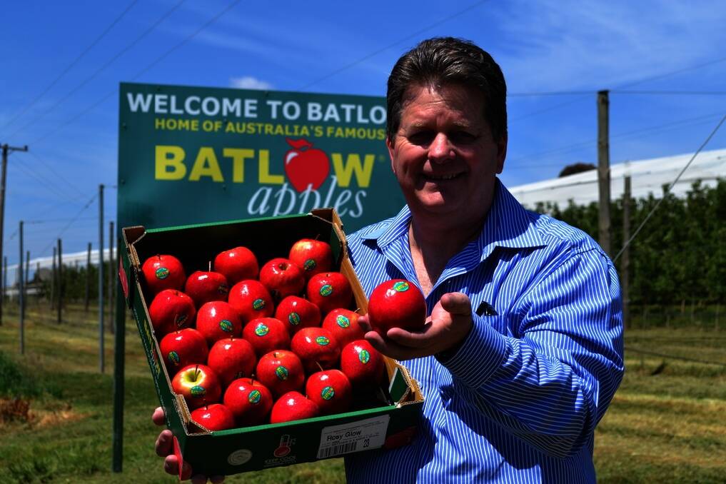 Batlow Fruit Co-operative general manager John Power with a tray of Pink Lady apples bearing the distinctive “Batlow” green sticker.