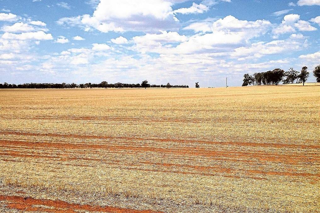 Grey alluvial and red loam soils on “Killawarra”, Rand, suit a range of cropping options, with organic certification as an additional marketing tool.