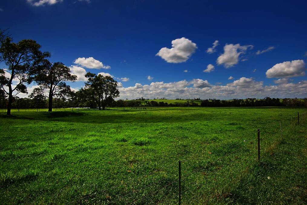 “The Meadows”, at The Oaks, between Picton and Camden, has been pasture improved by the current owners.