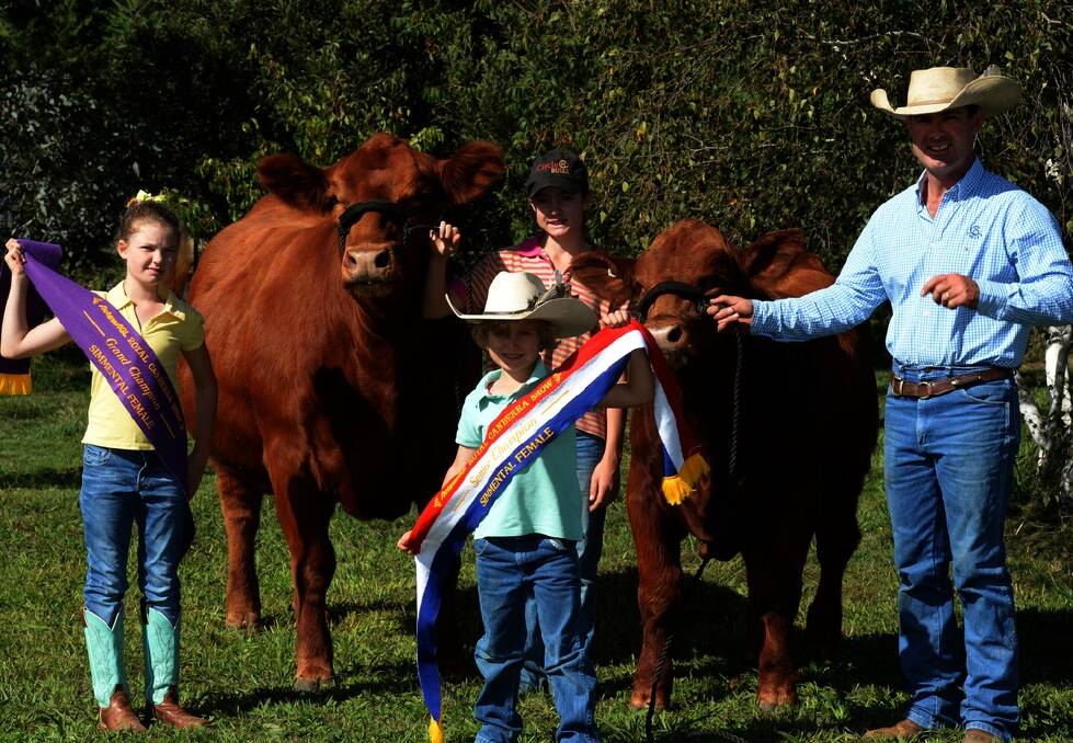 Jeremy Cooper, Circle 8 stud, Marulan, with his children, Lily, 9; Annabelle, 11, and Thomas, 6, and some of the cattle they will exhibit at Sydney Royal this year.