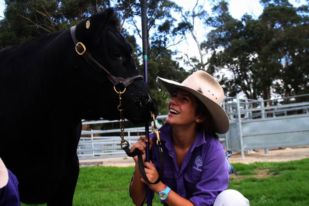 Frensham school Year 11 student Sophie Currenti, Goulburn, with Angus steer Hughie at feed time.