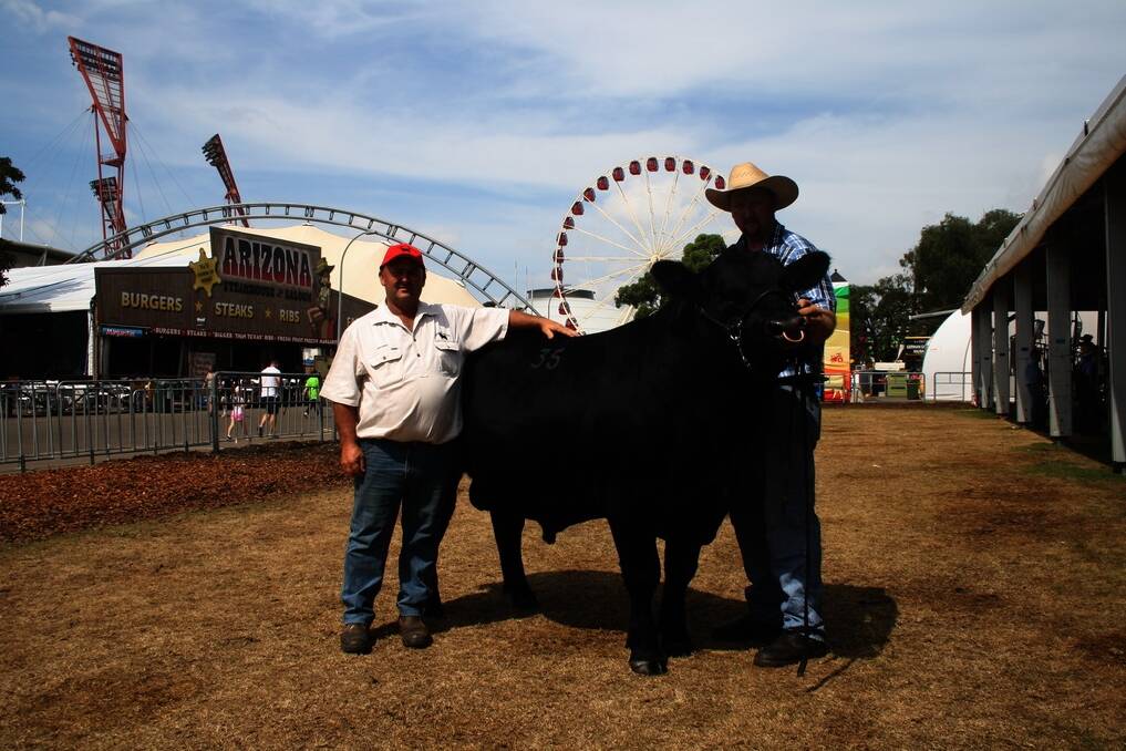 Buyer of the 2013 Sydney Royal Angus Sale $8500 top-priced bull, Darren Hegarty, Carrabar Angus, Meandarra, Queensland, and K.O. Angus manager Tim Lord, Kangaloon, holding the bull, K.O. Premier Bull Durham G152.
