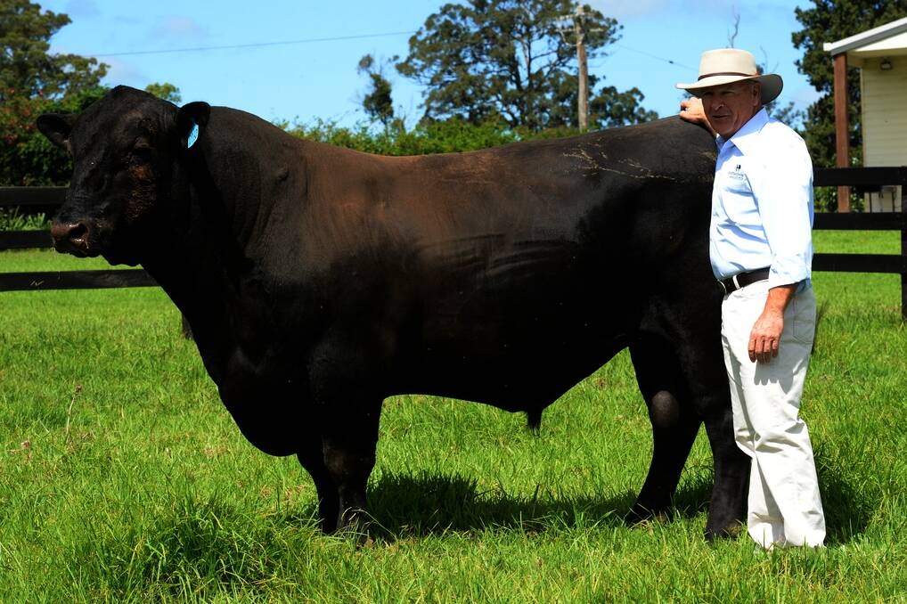 John Patrick, “Huntingdon Park”, Wauchope, who supplies sale bulls for the Sydney Royal Show sale, with stud bull Pine Creek Bando D160.