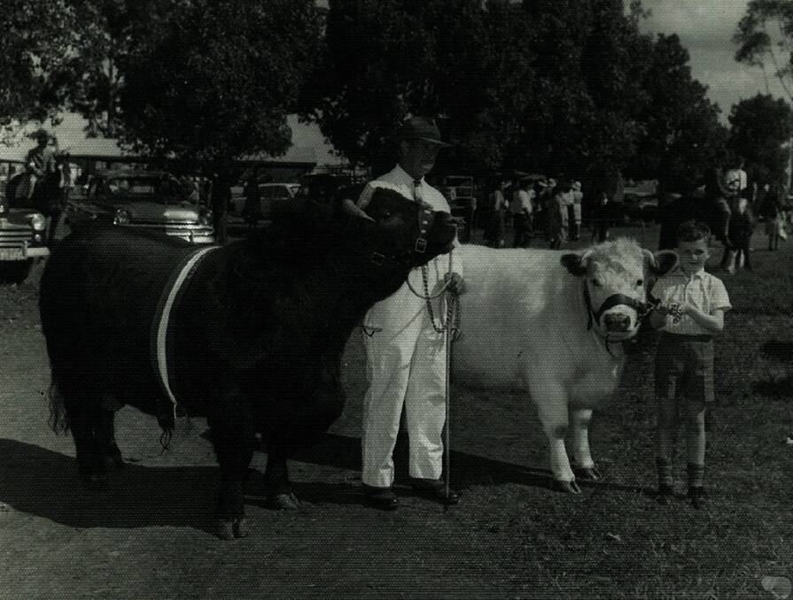 Ed Spry and his son Gerald Spry at the Griffith Show in 1964, the year Ed and Helen Spry registered the Spry’s Shorthorn stud prefix for their son.