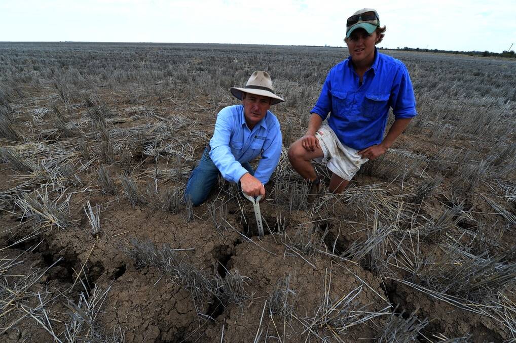RIGHT: Walgett agronomist Greg Rummery advises farmers in Western NSW and has seen first hand the problems caused by the Native Vegetation Act.