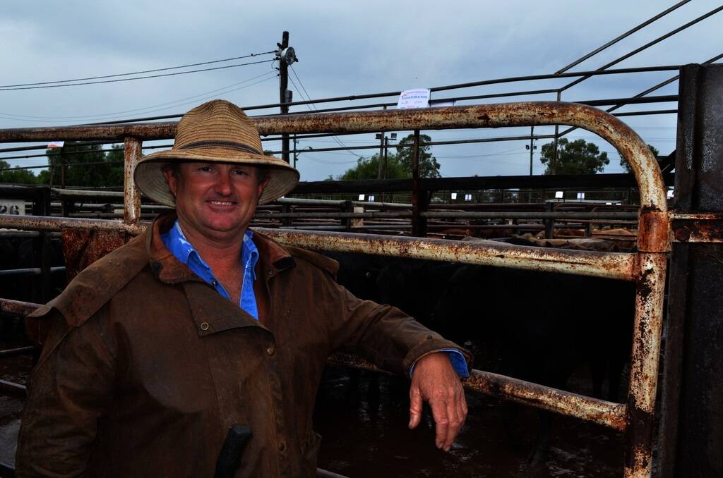 Grayson Gulliver, Dimby Station, Quirindi, sold weaner steers for 214c/kg at the Powerhouse Liveweight Weaner Sale at Gunnedah last Thursday.