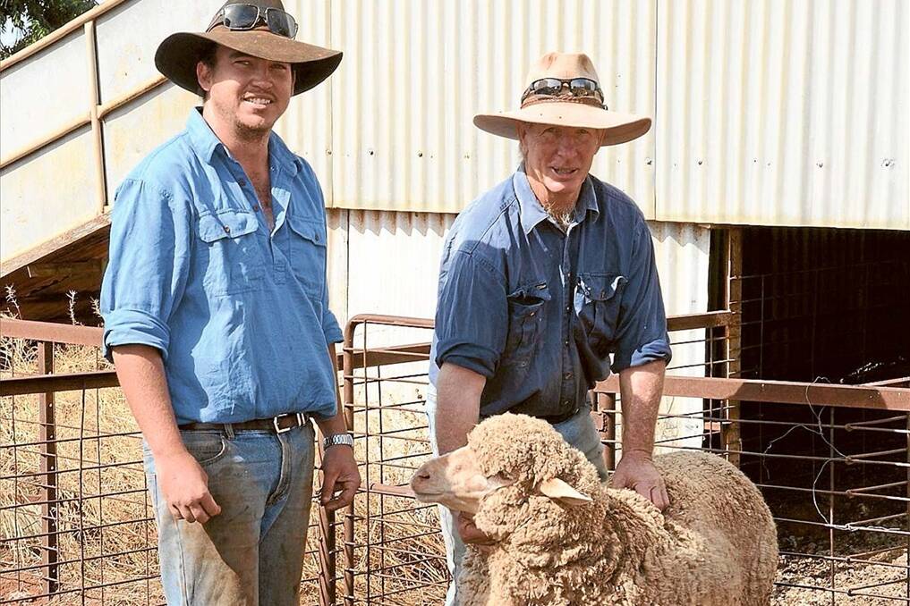 Peter Baxter and Ian Menzies, “Moonbah”, Condobolin, with their Woodpark-blood maiden ewes. 