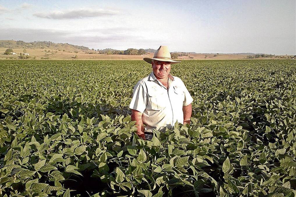 Mark Carter, "Hillyards", Cedar Point near Kyogle, with his Manta variety soybeans, due for harvest in the first week of May. The crop took out first place in the 2014 North Coast Oilseeds Growers Association crop competition.