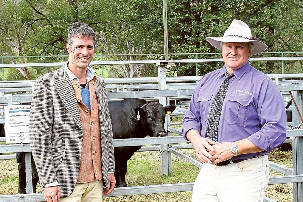 Buyer James Houston, Houston Pastoral Company, Wodonga, Victoria, and vendor Mark Lucas,  co-principal of Reiland Angus, with the top-priced bull Reiland Hilldale H937 which was secured by the Houston family for $12,000.