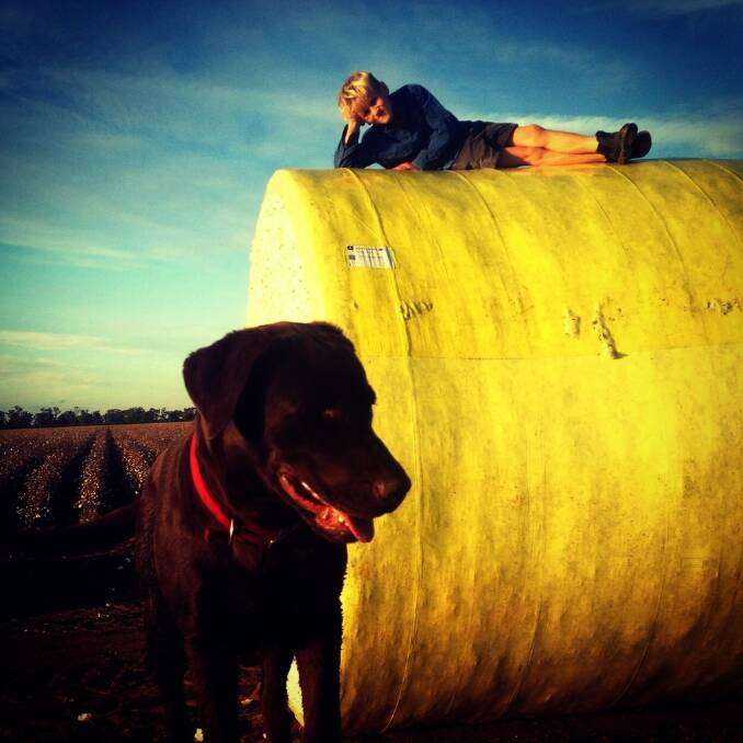 Angus Dugan, 6, with chocolate Labrador Dusty, rests on his parents' first bale of the season. He is the youngest son of Mark and Sarah, "Maroondah", Trangie.