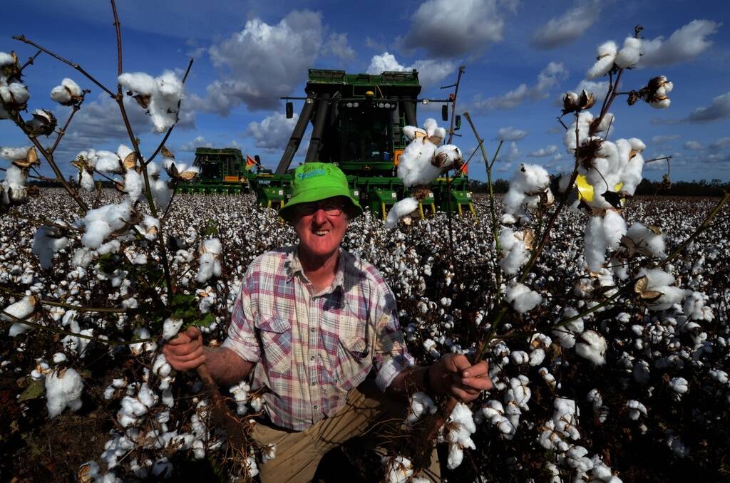 Narromine cotton grower, Barry Dugan shows off some of his cotton now being picked at ?Toobaroo West?, one of the Dugan family partnership?s properties this year growing 164 hectares of cotton.