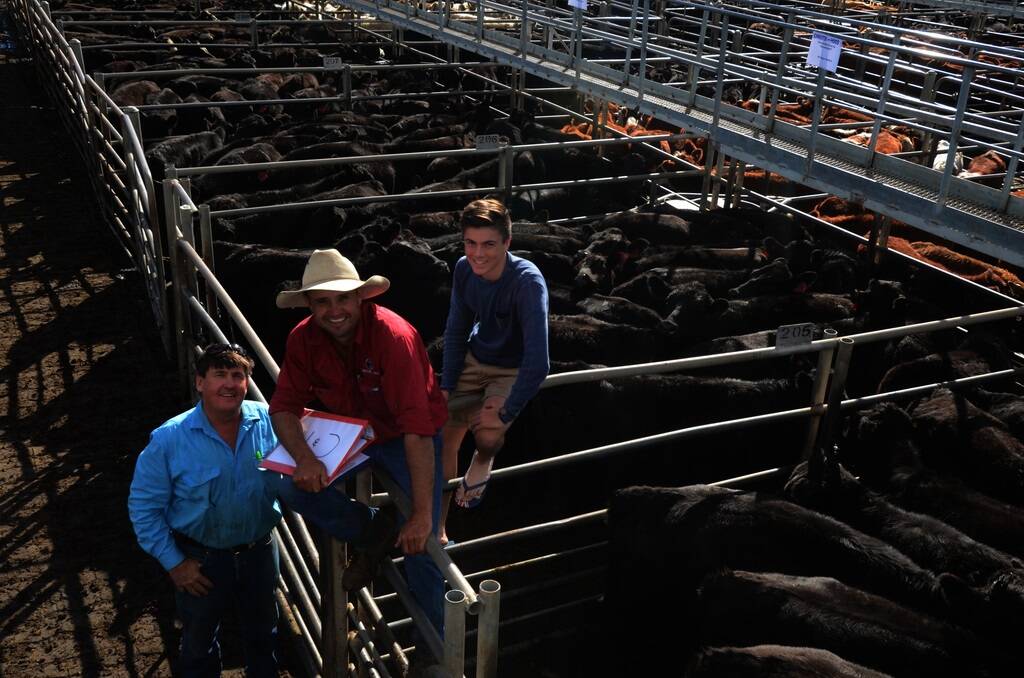 Neil O'Connor and his son, Rhett, of Warriston Pastoral Company, "Euromedah", Narromine, with agent, Tim Wiggins, Christie and Hood, Narromine, pose with the pens of 192 Angus heifers, 8-10 months, which they purchased as weaners at Dubbo some eight months ago as calves with their mothers. The heifers are now weighing 300 to 400 kilograms live and topped at $480  when sold at Dubbo