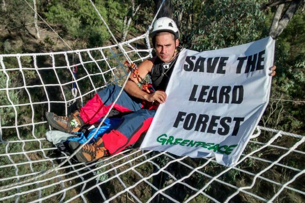 A protester in the Leard Forest.