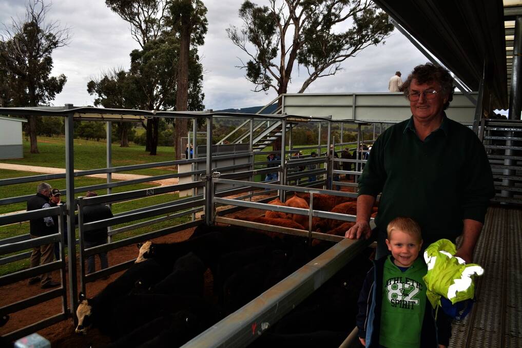 Clive McCarthy, “Billray Park”, Oberon, with grandson Jock, 4, paid $470 a head for 20 Angus steers at the Carcoar store cattle sale last Friday.