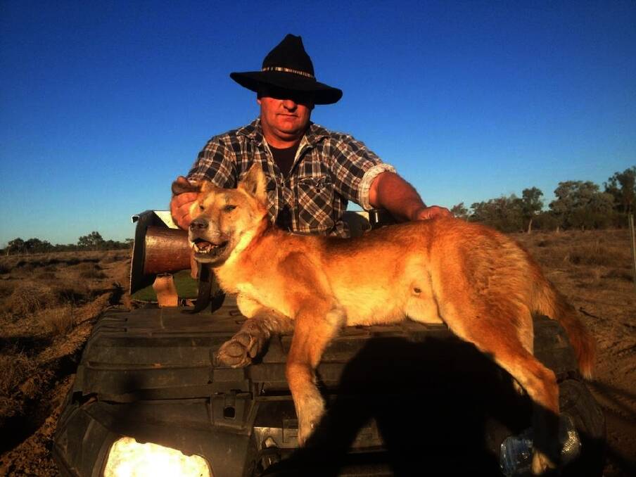 RIGHT: Marc Boothey, “Hampden”, The Rock, with the dingo he shot between Brewarinna and Walgett.