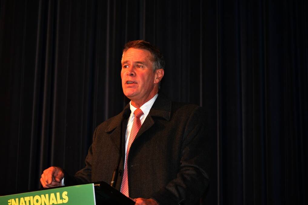 Deputy Premier Andrew Stoner at the NSW Nationals AGM