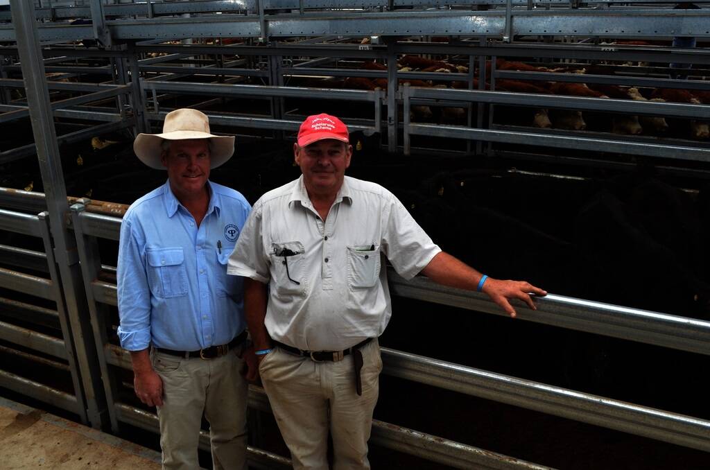 Patrick Purtle, Purtle Plevey Agencies, Manilla, with one of his clients, Bill Greenslade, "Warongah", Manilla, who sold 127 weaners to a top of $450 a head at the Tamworth store cattle sale.