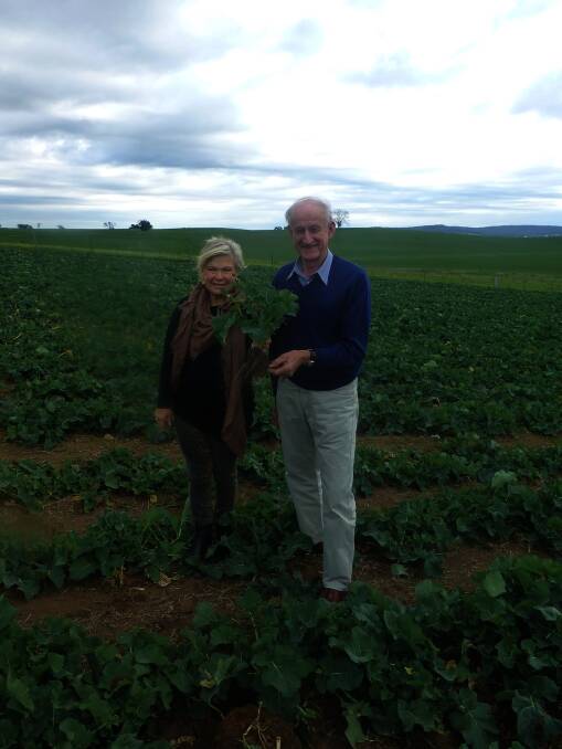 Rhonda Daly and John Leggett (Soil for Life) examining a crop of Canola where YLAD Germinate Plus? was used at sowing to encourage soil, root, microbe interaction for the uptake of plant nutrients.