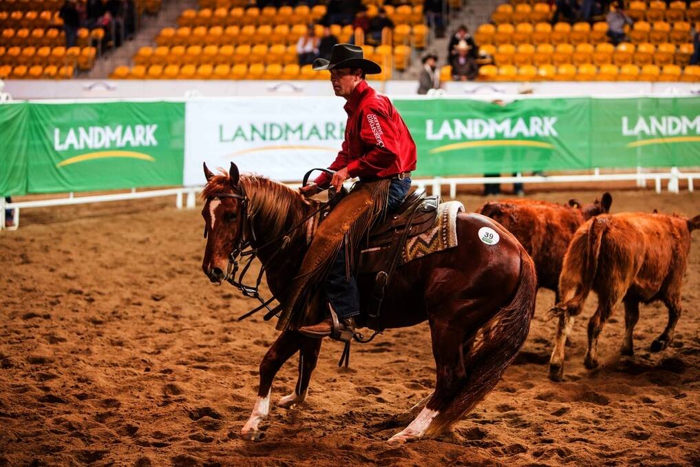 Todd Graham on This Cats Playing topped the NCHA Select Sale with a $35,000 bid. Photo: Wild Fillies
